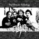 FITZKIN - The Ultimate Anthology (2025) CD